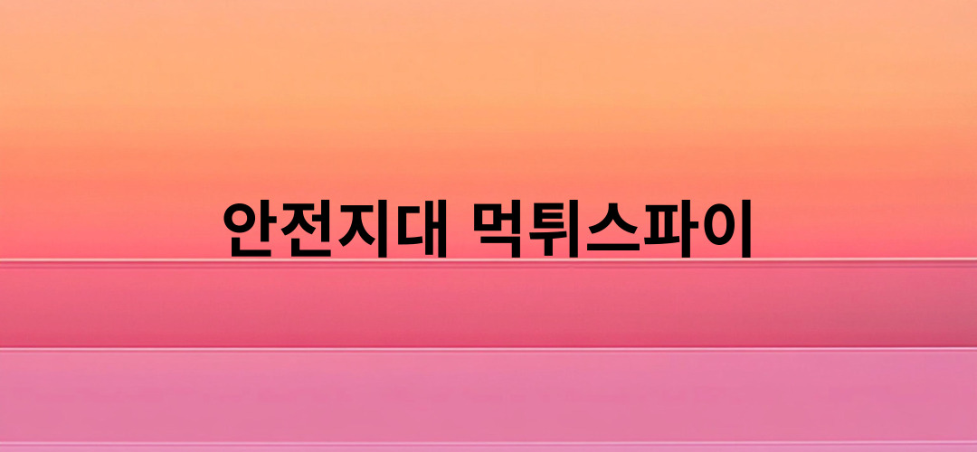 먹튀스파이